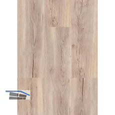 LICO Vinylboden Hydro Wood Eco Line, Herbsteiche Creme, 9,5 mm