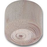 SECOTEC Astdbeln Fichte Durchmesser 10 mm Hhe 9 mm SB-20