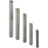 Bandrolle CHARMAG 16 x 118 mm, Stahl blank