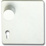 GRUNDMANN Wechselgarnitur GEOS 1754/D55K m Breitschild PZ88, rechts,silber elox