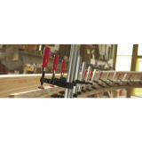 BESSEY Temperguss Schraubzwinge TPN-BE Spannweite 250 mm Ausladung 100 mm