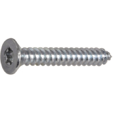 DIN7982C 4.2x 50 Torx20 verzinkt Senkkopf-Blechschraube ~ISO14586