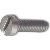 ~ISO1207 M 4x 12 Edelstahl A2 Zylinderschraube mit Schlitz (DIN 84A)