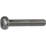 ISO14583 M 6x 30 Torx 30 Edelstahl A2 Linsenschraube (DIN7985A)