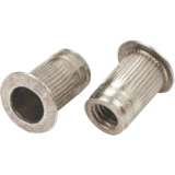 Blindnietmutter Flachkopf gerndelt Rundschaft offen M 4x10.0 Edelstahl