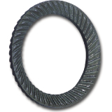 SCHNORR Sicherungsscheibe "S" M10 Federstahl blank