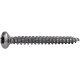 Spanplattenschraube Linsensenkkopf 4.0x 50 Vollgewinde Torx 20 Edelstahl A2