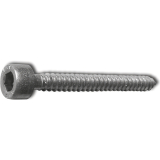 Blechschraube 5.5x25 Edelstahl A2 mit Zylinderkopf ~912