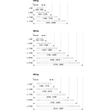 MACO HS Verbindungsstange flach, gelocht, L= 692 mm, Stahl verzinkt (359639)