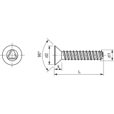 DIN7500ME (MT) M 5x 20 Torx 25 Edelstahl A2 gewindefurchende Senkschr.