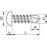 DIN7504M 3.9x 19 Torx20 verzinkt Linsen-Bohrschraube
