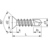DIN7504O 4.8x 38 Torx25 verzinkt Senkkopf-Bohrschraube
