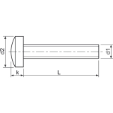 ~ISO7045 4.8 M 6x 70 Phillips Kreuzschlitz verzinkt Linsenschraube (DIN7985A)