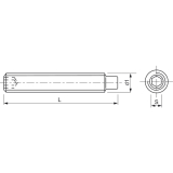ISO4028 45H M 4x 10 blank Gewindestift mit Zapfen und Innensechskant (DIN 915)