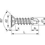 DIN7504 4.8x 38 TX25 Bi-Metall A2 - 4mm