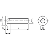 Zylinderschraube mit extrem niedrigem Kopf M 6x 20 Gte 10.9 geschwrzt