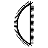 BLU-DAN Holzraspel halbrund bastard 250 mm