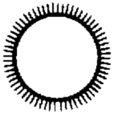 BLU-DAN Chrominox-Rundfeile bastard 250 mm