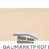 GEDORE Holz-Arbeitsplatte 1110 WMHP 2 f. WorkMo B2 571 x 426 x 41 mm