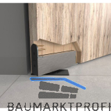 T�rband Pivotica Pro E BI, max. T�rgewicht 100 kg, T�rst�rke ab 40 mm, schwarz