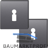 FSB Buntbartrosette quadratisch 12 1704 00002 ASL, Aluminium schwarz matt