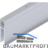 SOLIDO 100/HELM Seitenteilprofil Glas auf Ma� L=6000 mm silber eloxiert