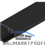 SOLIDO 100/HELM Montageprofil auf Ma� geschnitten L=6000 mm schwarz matt