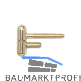 SFS Stahlzargenband 2-tlg. mit Rundkopf, � 16 mm, H�he 50,5mm, glanzvermessingt