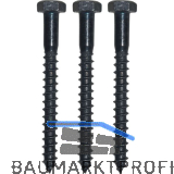 Schraubenset f�r Plattenkegel Kegeldorn � 18 + 20 mm,Schwalben. schwarz verzinkt