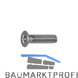 BKS Beschlag-Befestigungsschraube 7660, 80 mm, Edelstahl
