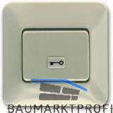 T�r�ffnertaster 1011 mit Schl�sselsymbol, Unterputz, Kunststoff wei�