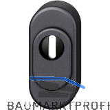FSB Sicherheitsrosette 73 3249 oval PZ mit Kernziehschutz, Aluminium schwarz