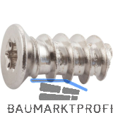 Systemschraube Senkkopf 6,3x13 mm,TX 20, Stahl vernickelt