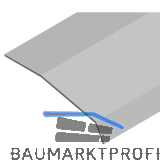 CINETTO PS48 Abdeckprofil 3000 mm, Kunststoff grau