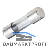 Glasrohrsicherung 5x20 mm, 250V 10A