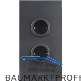 CARESSI Steckdosenelement 2ST20 2 Schukosteckdosen, 2 Stk. USB, schwarz