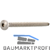 Spanplattenschraube Halbrundkopf 6.0x 50 Vollgewinde Torx 25 Edelstahl A2