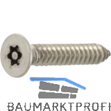 Sicherheitsschraube SNK 4.2x13 Blechschraube mit TX20 und PIN - Edelstahl A2