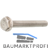 EN1665 M 8x 55 Edelstahl A2 Sechskantschraube mit Flansch (DIN6921)