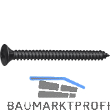 DIN7983C 4.8x 16 PH-Kreuzschlitz verzinkt schwarz Linsen-Blechschraube ~ISO7051