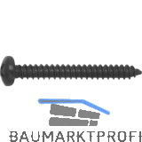 DIN7981C 4.8x 19 PH-Kreuzschlitz verzinkt schwarz Linsen-Blechschraube ~ISO7049