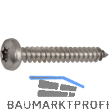 DIN7981C 6.3x100 Torx30 verzinkt Linsen-Blechschraube ~ISO14585