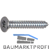 DIN7982C 6.3x 25 Torx30 verzinkt Senkkopf-Blechschraube ~ISO14586
