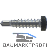 REISSER RP-r-LK-X REFABO Kantteilschraube 4.8x 20 Bimetall A2 - RAL7016