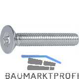 ISO14581 4.8 M 4x10 Torx 20 verzinkt Senkschraube