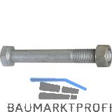 DIN601 4.6 M16x280 feuerverzinkt Mutterschraube (Bauschraube)