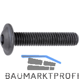 ISO7380-2 010.9 M 6x 10 blank Linsenschraube mit Flansch und ISK