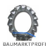 DIN6798A M10 blank F�cherscheibe aussengezahnt