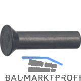 DIN661 6x 16 Stahl blank Senkniete