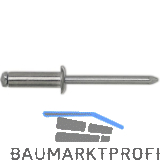 ISO15979 Blindniete Flachrundkopf 4.0x 6 Stahl verzinkt mit Stahldorn